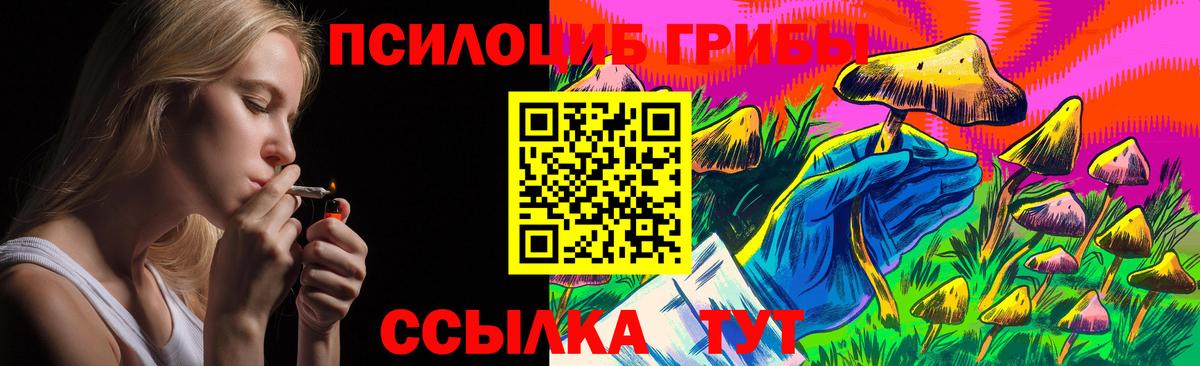 Псилоцибиновые грибы мицелий Старая Купавна